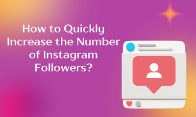 Instagram Followers