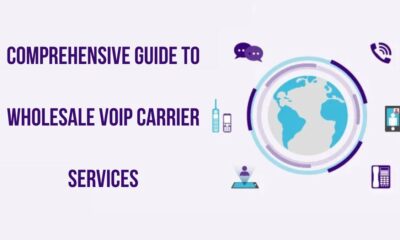 Wholesale VoIP Carrier Services