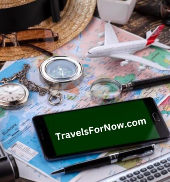 TravelsForNow.com