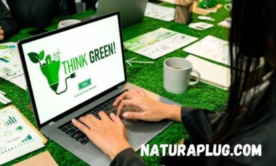 naturaplug.com