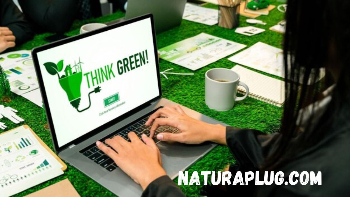 naturaplug.com