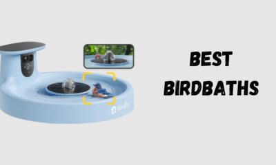 Best Birdbaths