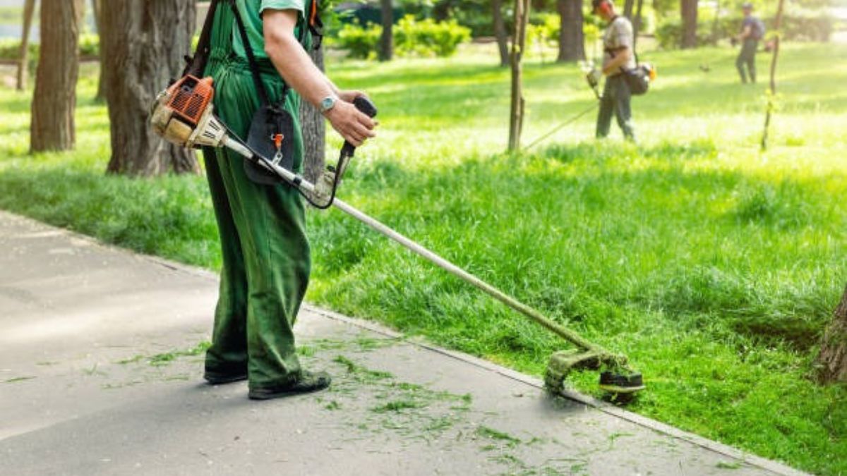 exterminator pest control