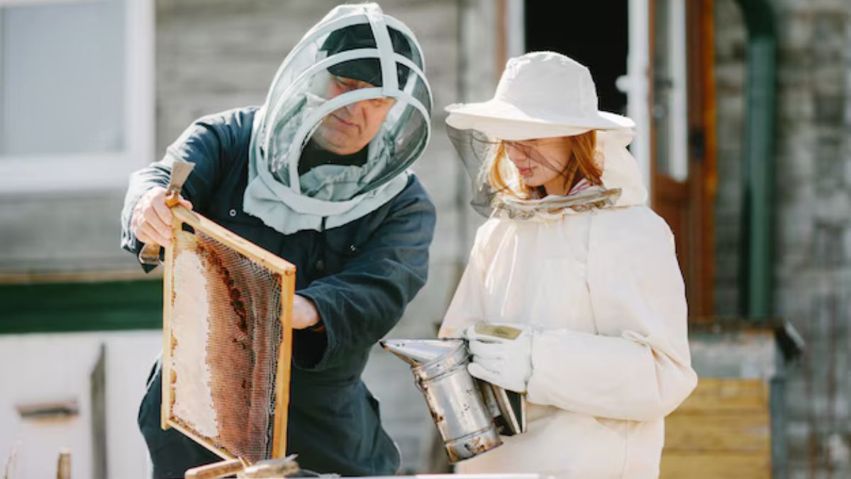 Beekeeping Tools